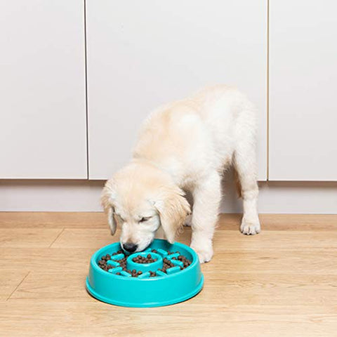 Happy Bowl Donut Slow Feeder Dog Bowl