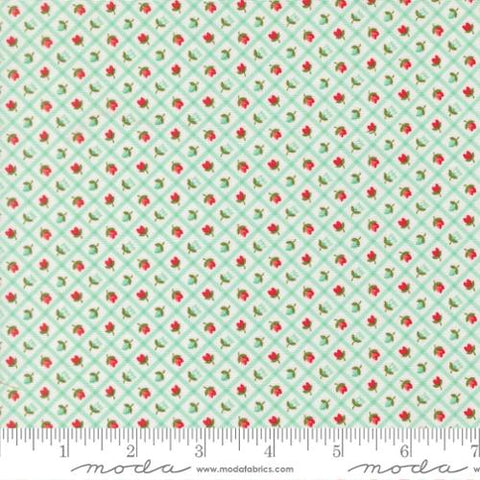 aqua, Bloomsberry Collection Flower Check Cotton Fabric 55358
