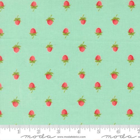 aqua, Bloomsberry Collection Strawberries Cotton Fabric 55352