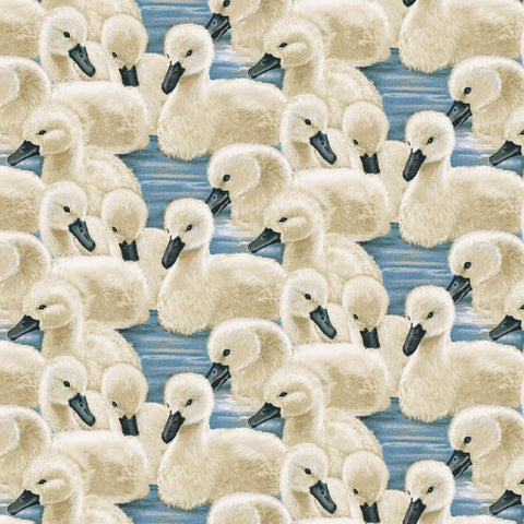 baby swans, Swan Sanctuary Collection Cotton Fabric 24
