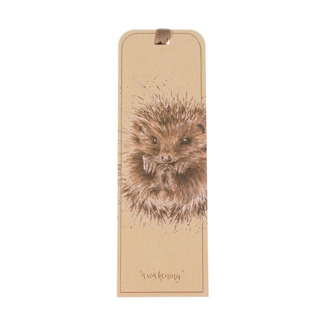 Hedgehog 'Awakening'
