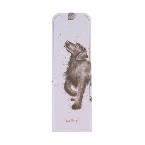 Dog 'Walkies'
