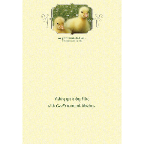 FT boxed greeting cards birthday chicks inside text