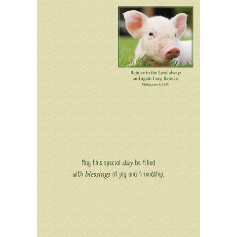 FT boxed greeting cards birthday piglet inside text