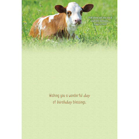 FT boxed greeting cards birthday calf inside text