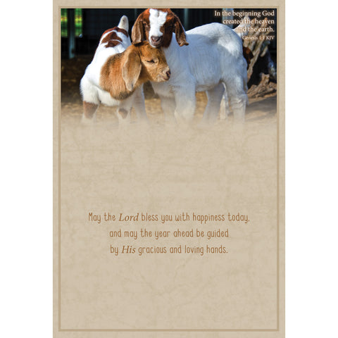 Ft boxed greeting cards birthday kids inside text