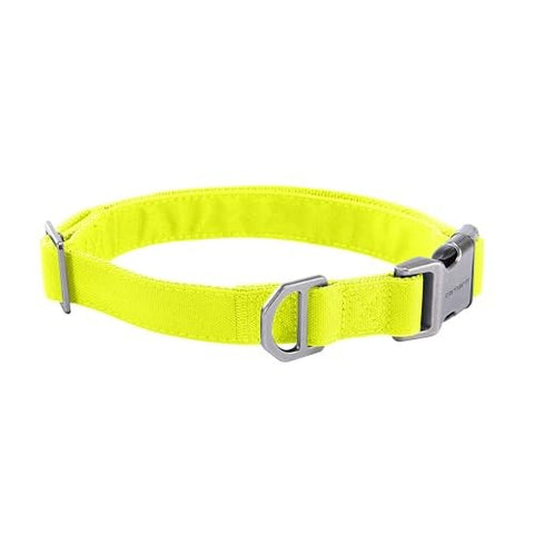 Carhartt canvas Field Dog Collar in Brite Lime