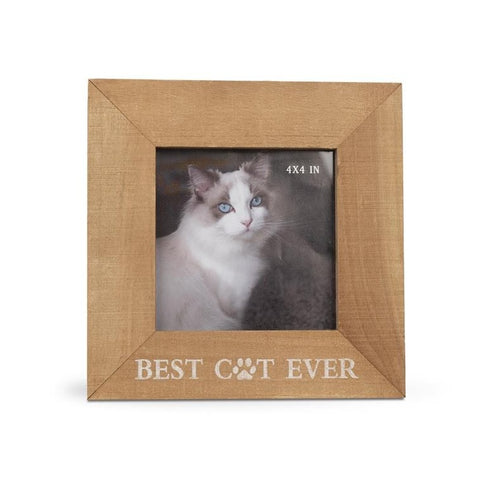 Best Cat Ever picture frame