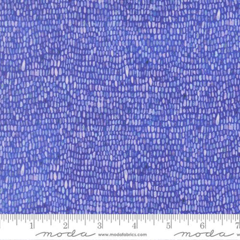 dark blue, Delphinium Collection Palette Blenders Cotton Fabric 24658