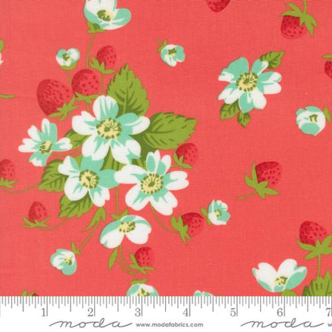 dark pink, Bloomsberry Collection In Bloom Cotton Fabric 5535