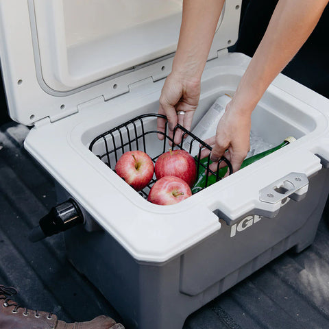 Drinkware & Coolers