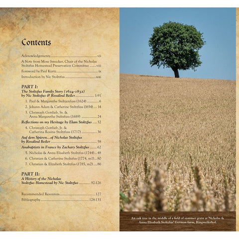 German Lutherans To Pa Amish The Stoltzfus Family Story
table of contents