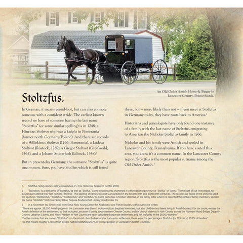 German Lutherans To Pa Amish The Stoltzfus Family Story
back cover