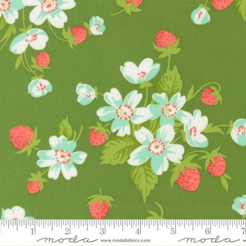 green, Bloomsberry Collection In Bloom Cotton Fabric 5535