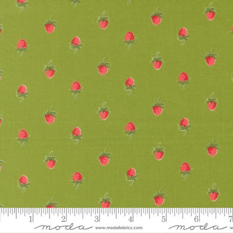 green, Bloomsberry Collection Strawberries Cotton Fabric 55352