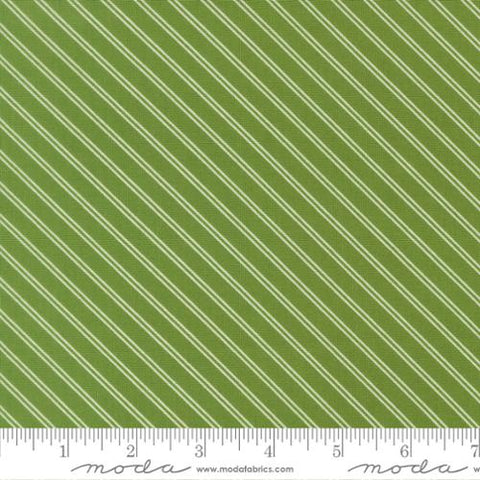 green, Bloomsberry Collection Stripes Cotton Fabric 55355