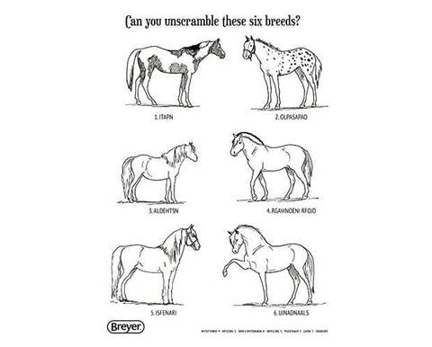 "H" is for Horse | Coloring & Activity Book 4120