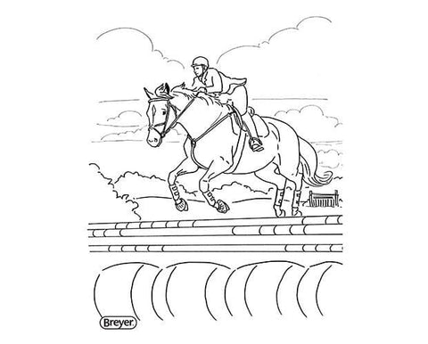 "H" is for Horse | Coloring & Activity Book 4120