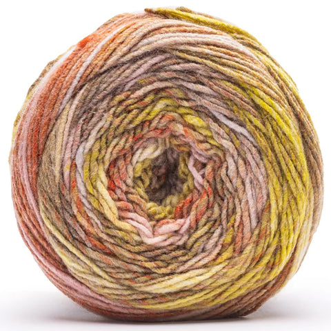 jasper, Roll With It Melange Multi-Color Yarn 5.29 oz E890