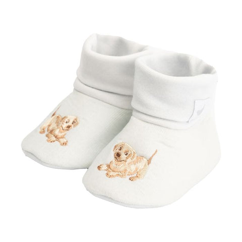 little paws, Baby's Embroidered Bootie LTW