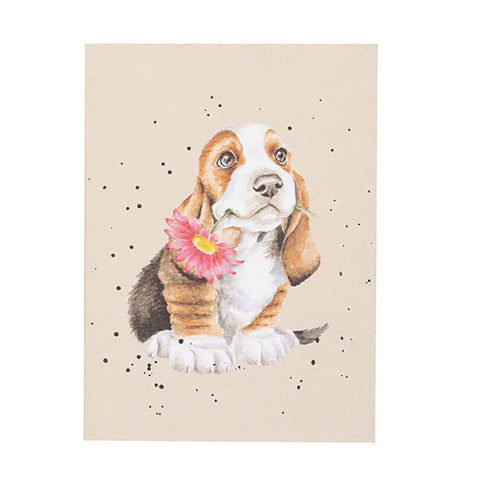 just for you, Paperback Notebook N0