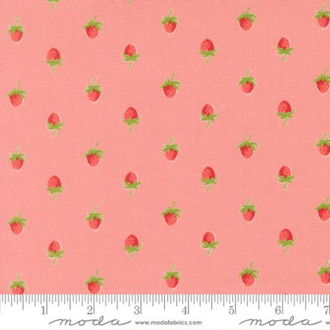 pink, Bloomsberry Collection Strawberries Cotton Fabric 55352