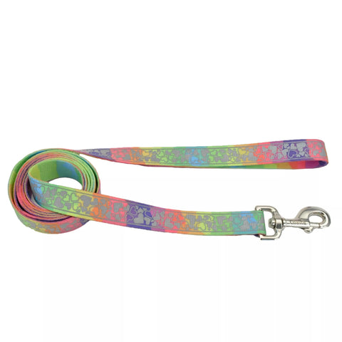Rainbow hearts dog leash