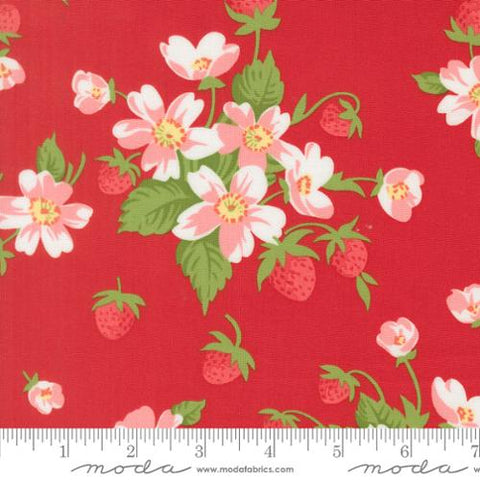 red, Bloomsberry Collection In Bloom Cotton Fabric 5535