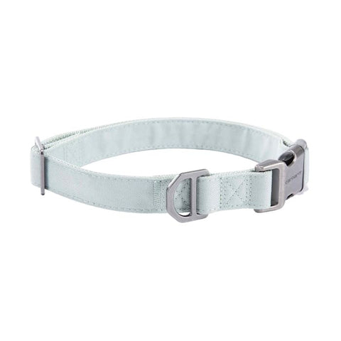 Carhartt canvas Field Dog Collar in seabrook