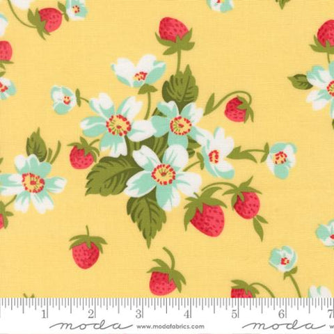 yellow, Bloomsberry Collection In Bloom Cotton Fabric 5535