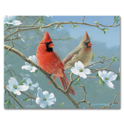 Classy Glass Cutting Boards Cardinal
