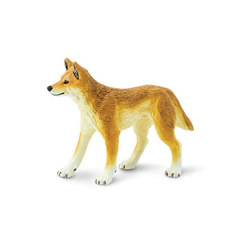 Dingo 228229