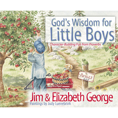 God�s Wisdom for Little Boys
Character-Building Fun from Proverbs Front Cover