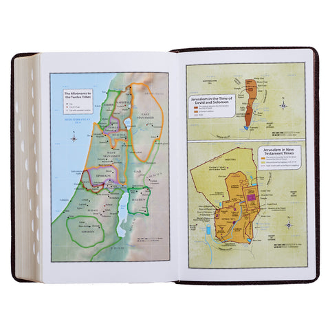 Full Color Maps