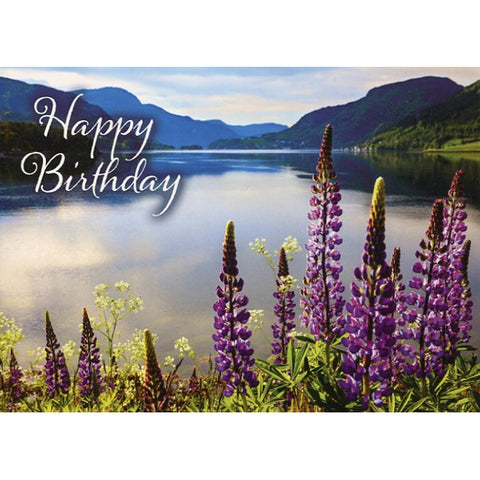 Card 1 Birthday Mountain Joy